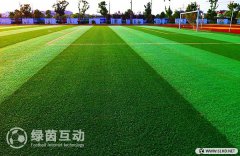 綠茵互動響應足改方案：擴大足球場地數(shù)量 建設(shè)